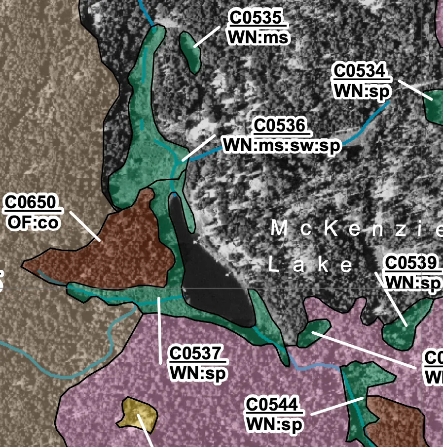 Figure 2. Sensitive Ecosystem Inventory mapping for McKenzie Lake.