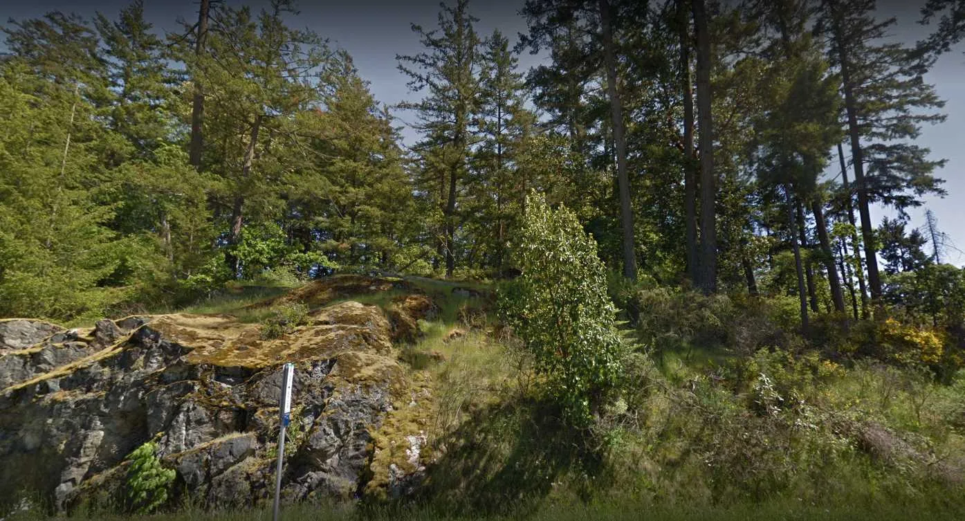 Context image 2 - View of a rocky outcrop and moss-covered terrain within a wooded area