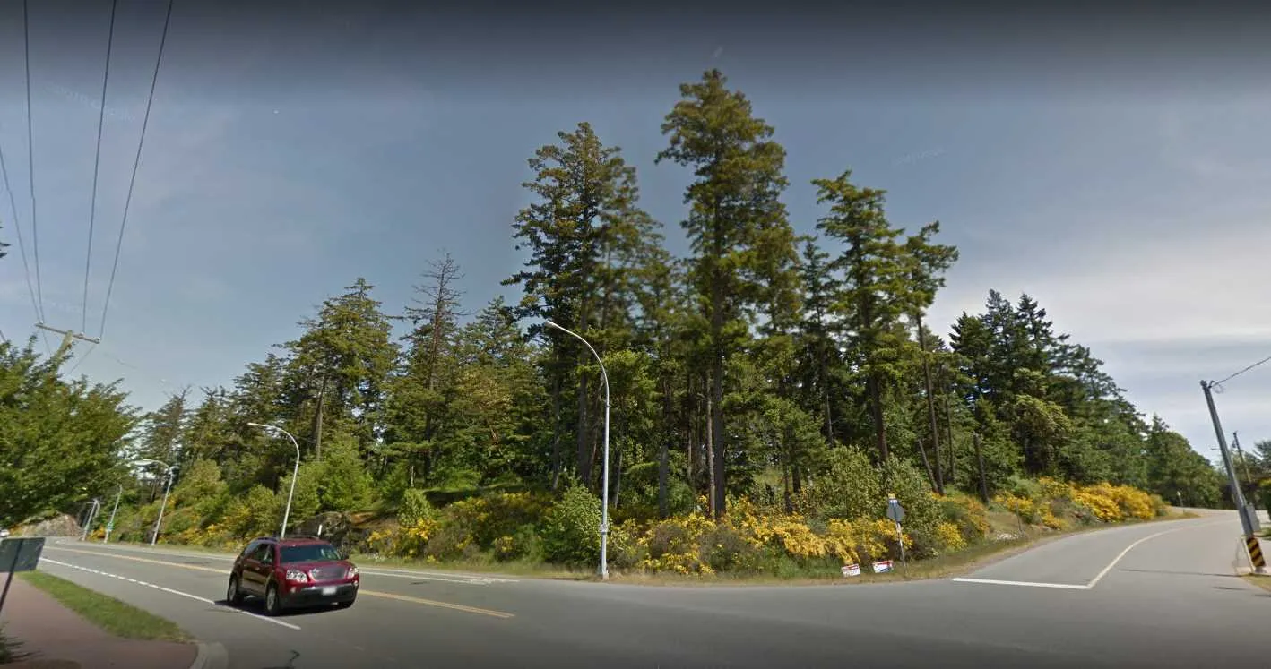 Context image 4 - Road intersection at the edge of the wooded property
