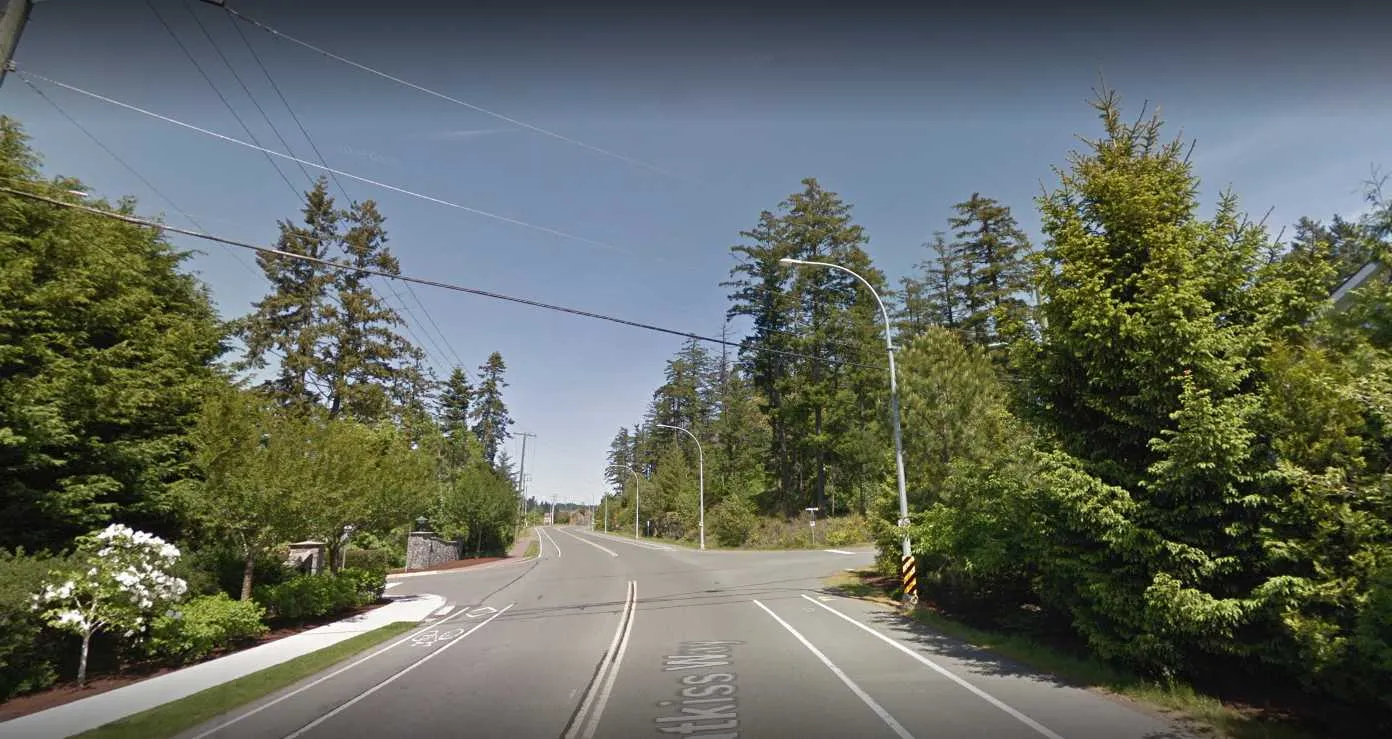 Context image 5 - Looking into a heavily wooded portion of the site from the road