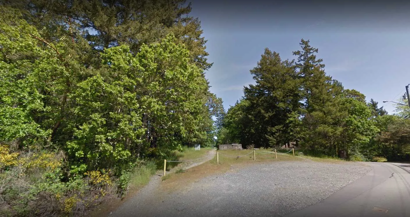 Context image 7 - End of a paved road section meeting a wooded embankment