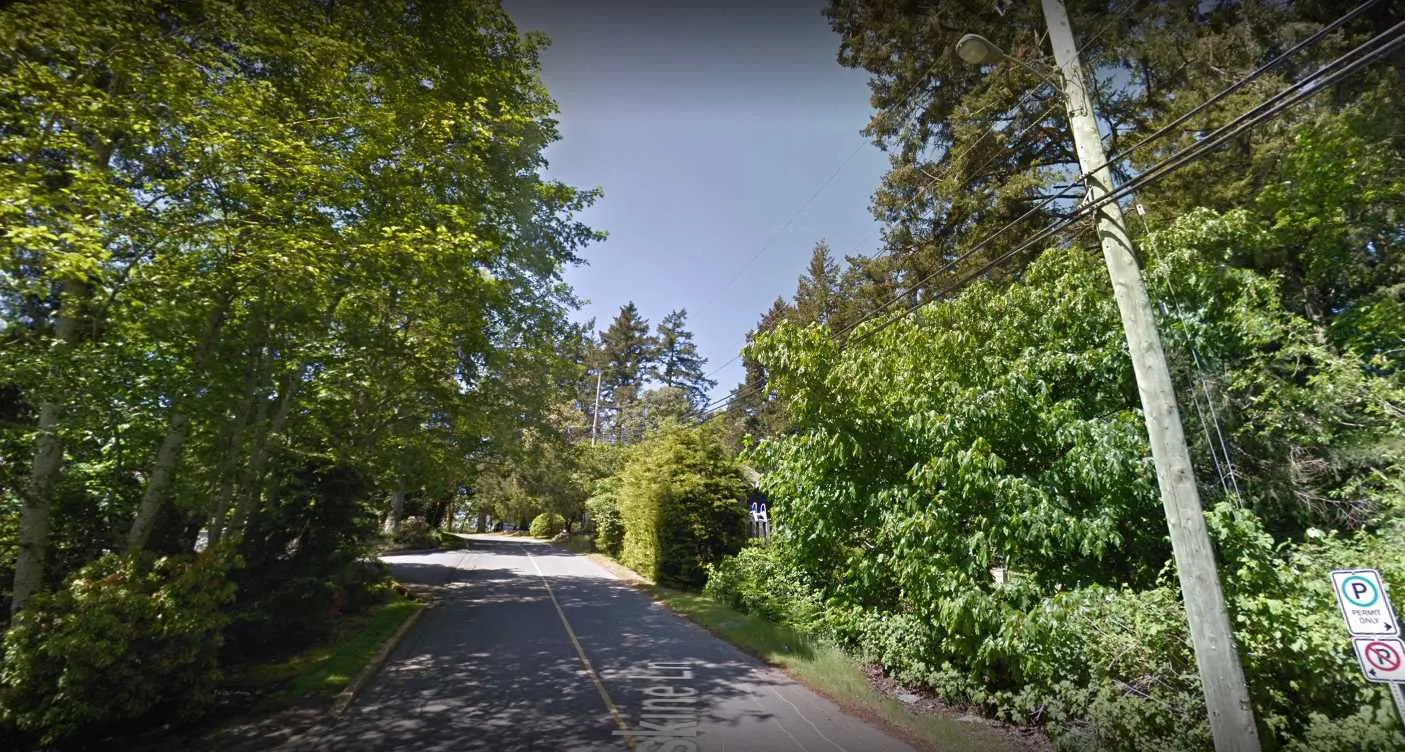 Context image 8 - View of a paved pedestrian or cycling path winding through the trees