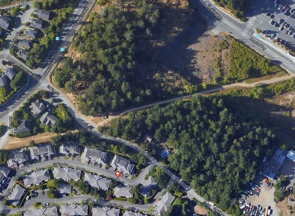 Context image 10 - Street view of Watkiss Way with the site's trees on the right