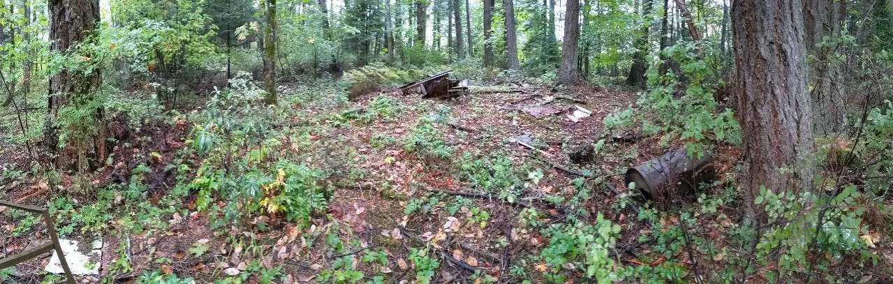 Southeast Corner: Larger Douglas-fir trees and wood/metal waste