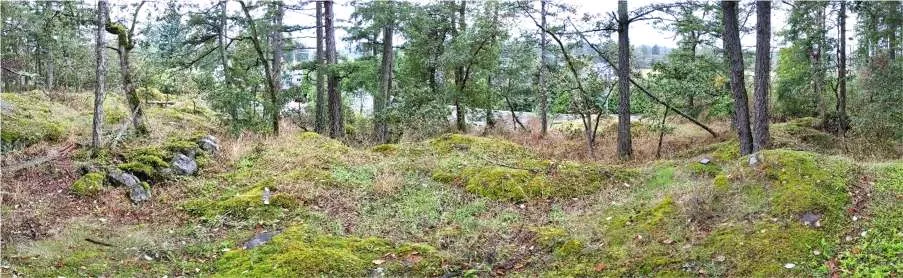 Northwest Corner: Garry oak and Douglas-fir—arbutus woodland