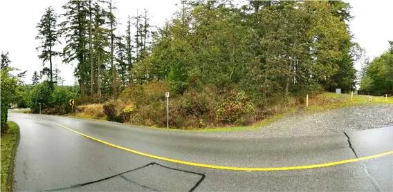 Northwest Corner: Northeast view of Garry oak and mixed woodland