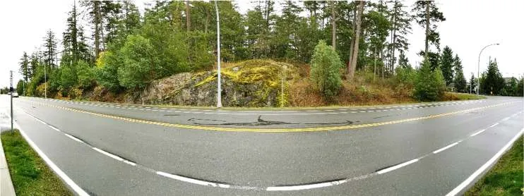Northwest Corner: Southeast view of Garry oak and Douglas-fir—arbutus woodland