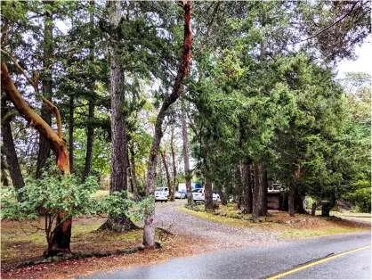 East view of existing rural residential land use