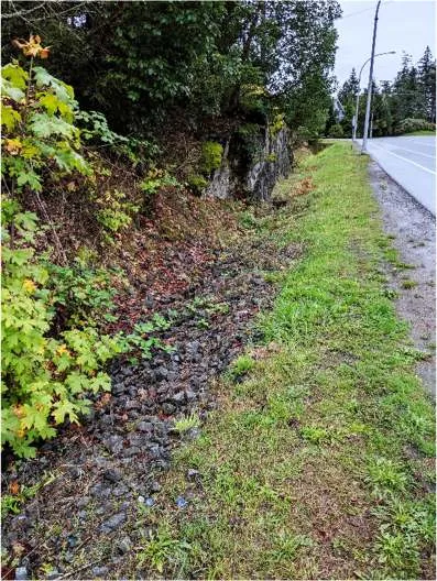 Southwest view of ditch along Watkiss Way
