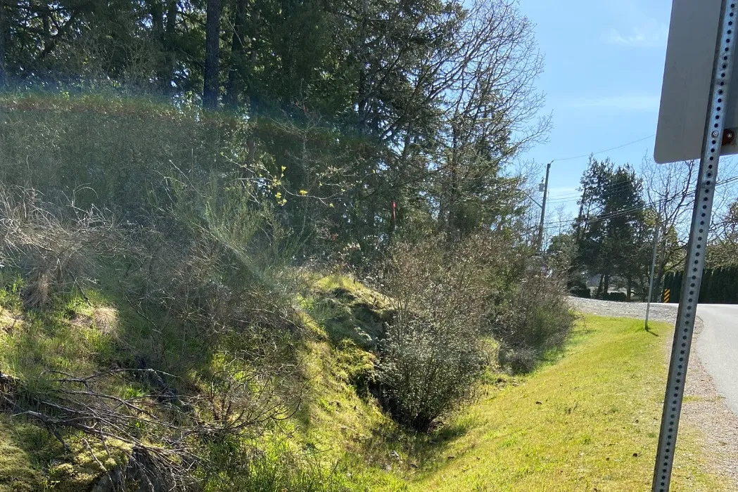 Upper view of the wetted depression/ditch area next to a road sign and wooded area