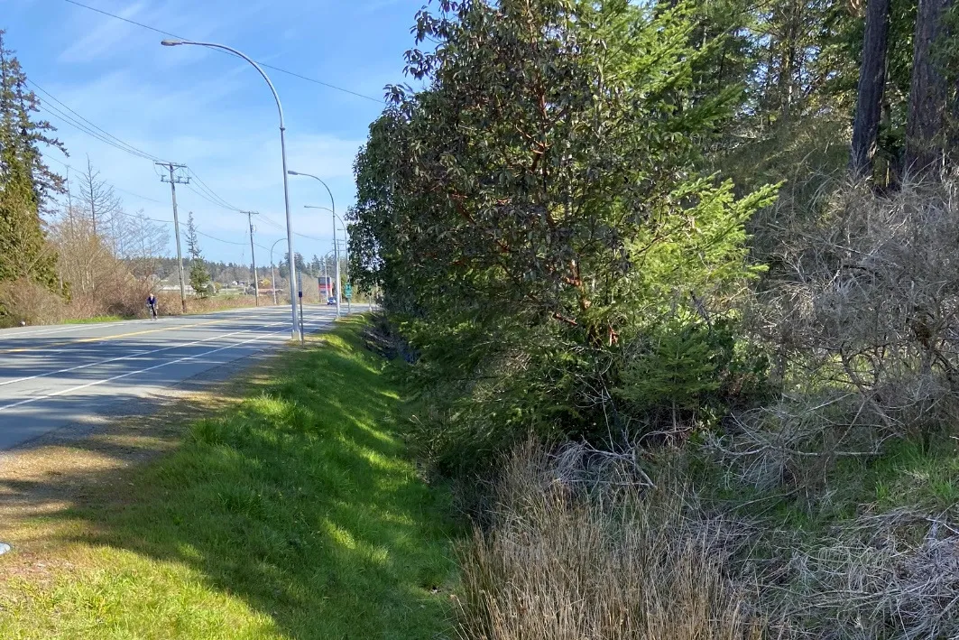 Upper view of the ditch area running alongside a paved road with streetlights