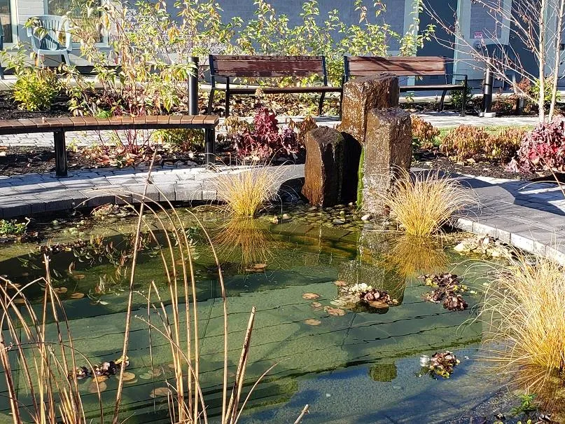Elevated view of the completed therapeutic gardens and pathways