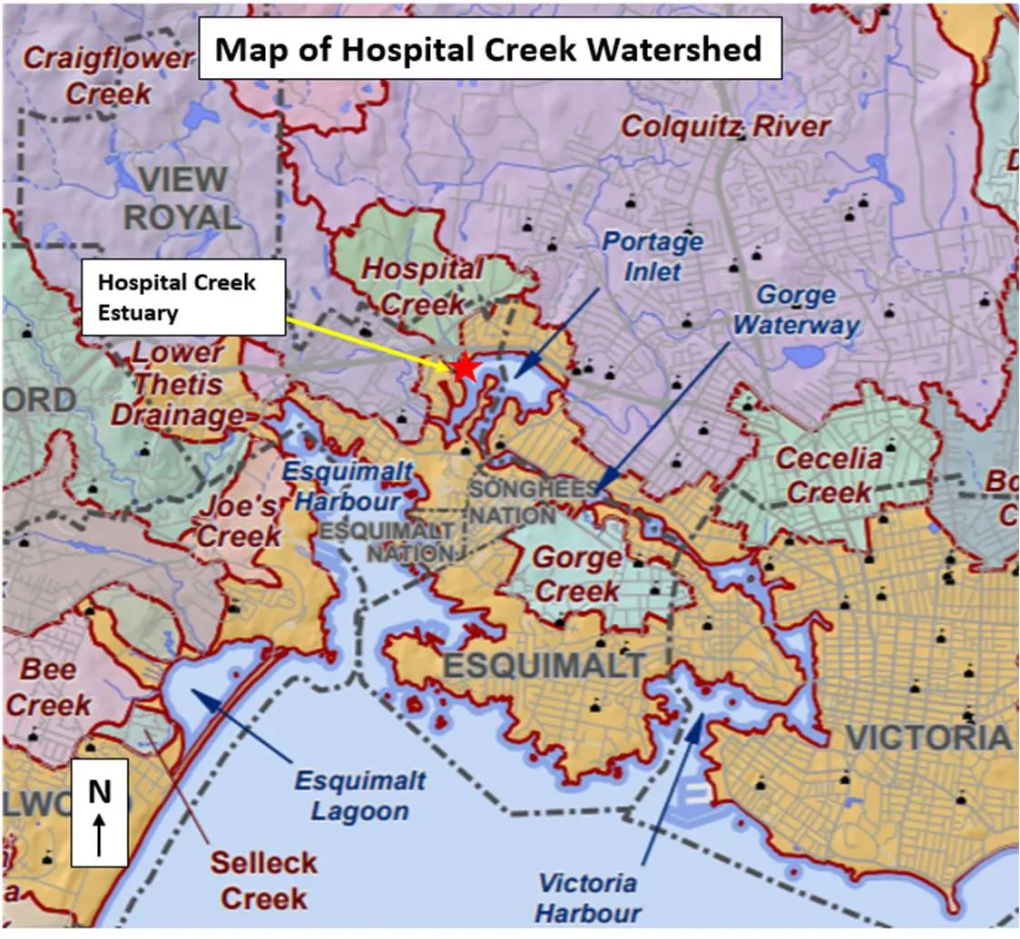 Map of Hospital Creek Watershed showing various drainage areas and water bodies in the View Royal and Victoria region