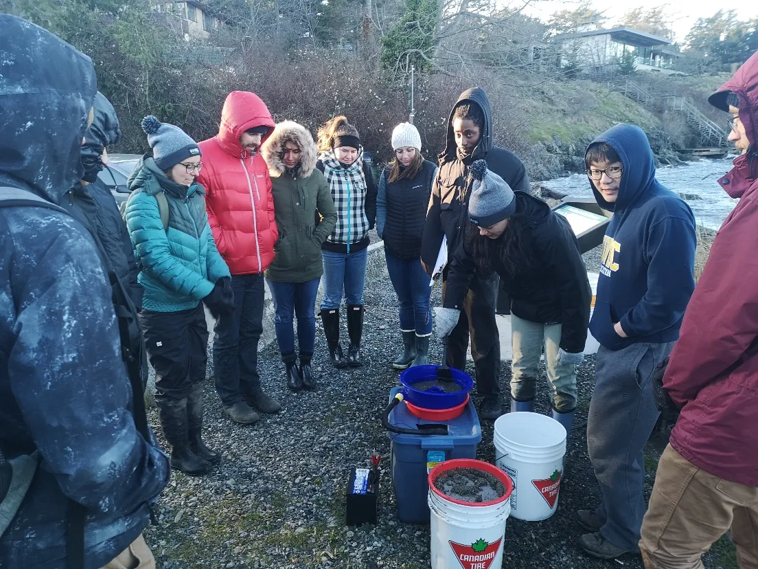 Volunteers conducting a Forage Fish Egg Beach Survey at Island View on Jan 9