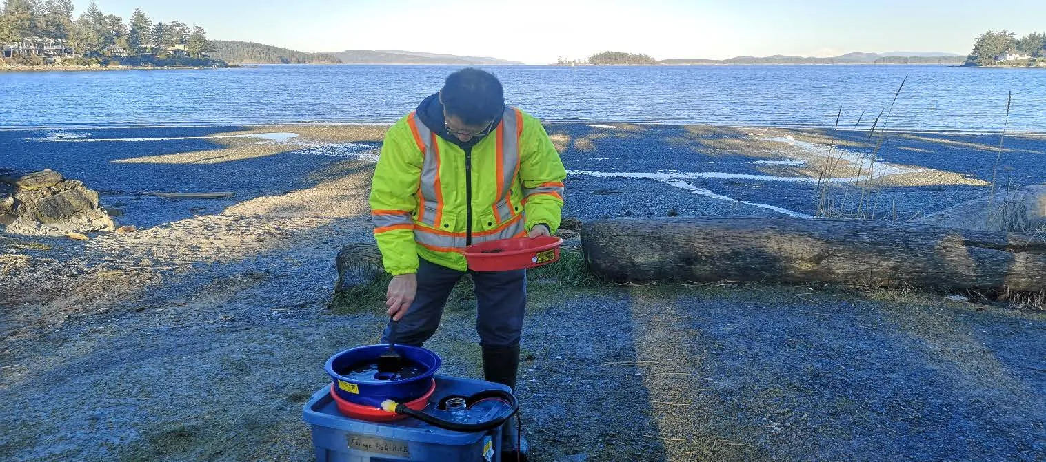 Volunteers conducting a Forage Fish Egg Beach Survey at Robert’s Bay on Mar 4