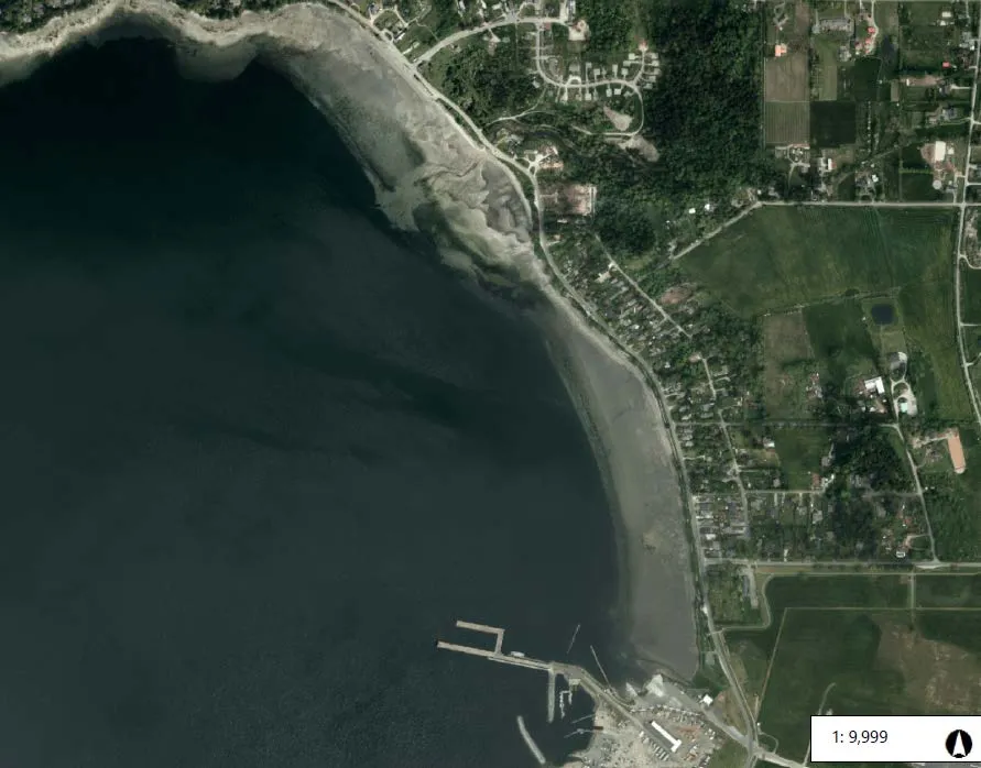 Cross-section diagram showing glacial marine sediments, a bluff, beachface, tidal flat, low water line, and eelgrass habitat