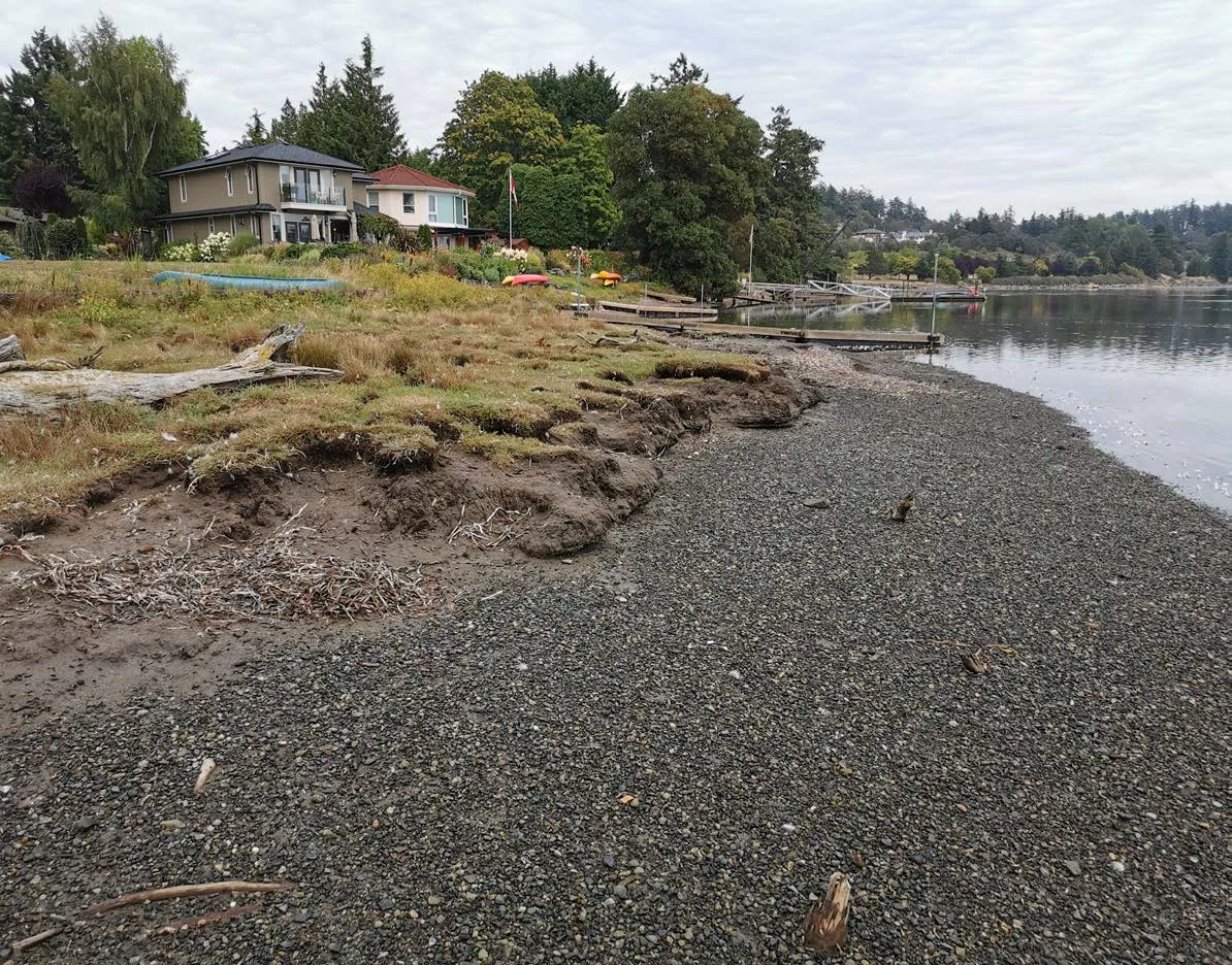Hospital Creek Beach Test Nourishment Plot showing a staff member taking volume measurements with survey equipment