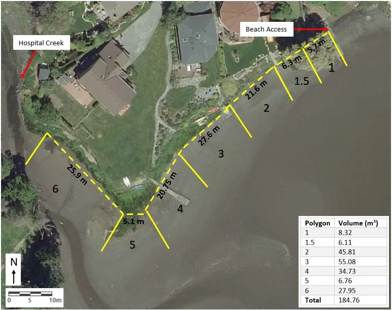 Erosion of Hospital Creek estuary sediment adjacent to waterfront homes on Chancellor Ave