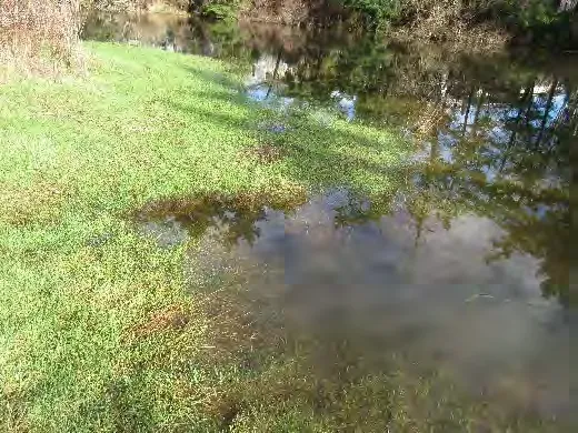 West edge of main entry trail Jan 2020