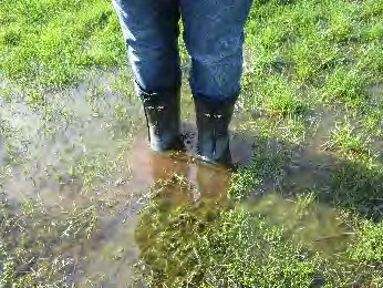 Craigflower Creek adjacent park Jan. 2020 Photo D