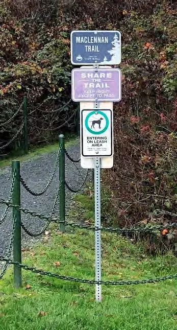 Pump track