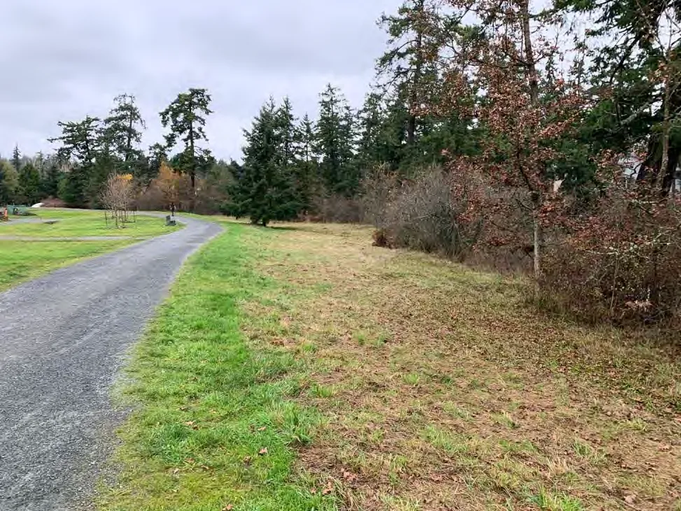 Creek overflowing its banks Jan. 2020