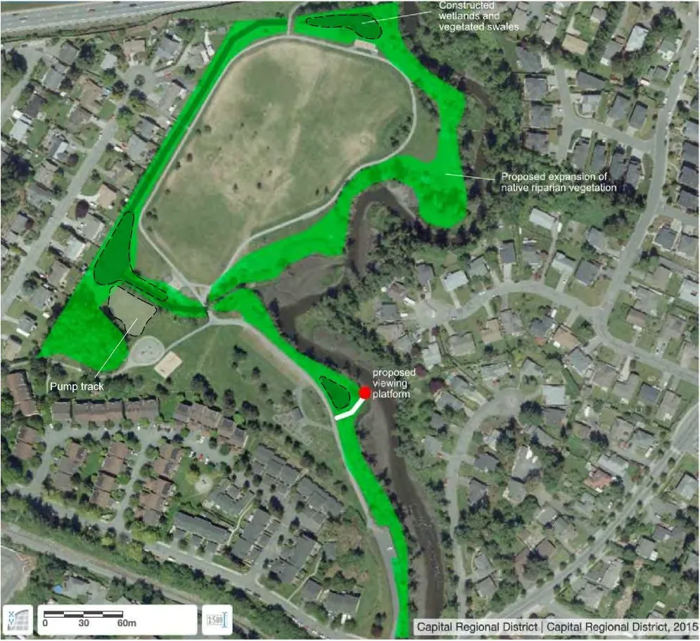 Erosion, invasive species & exposed pipes on creek bank at north east corner of park