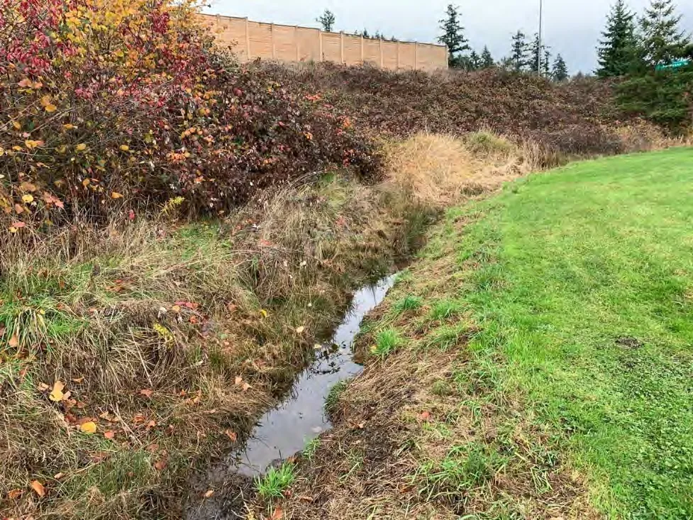 Map 5: Riparian Expansion and Wetlands Map