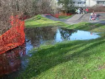 Photo 3: Proposed area for riparian zone expansion along drainage channel flowing into Craigflower Creek. (pump track on left)