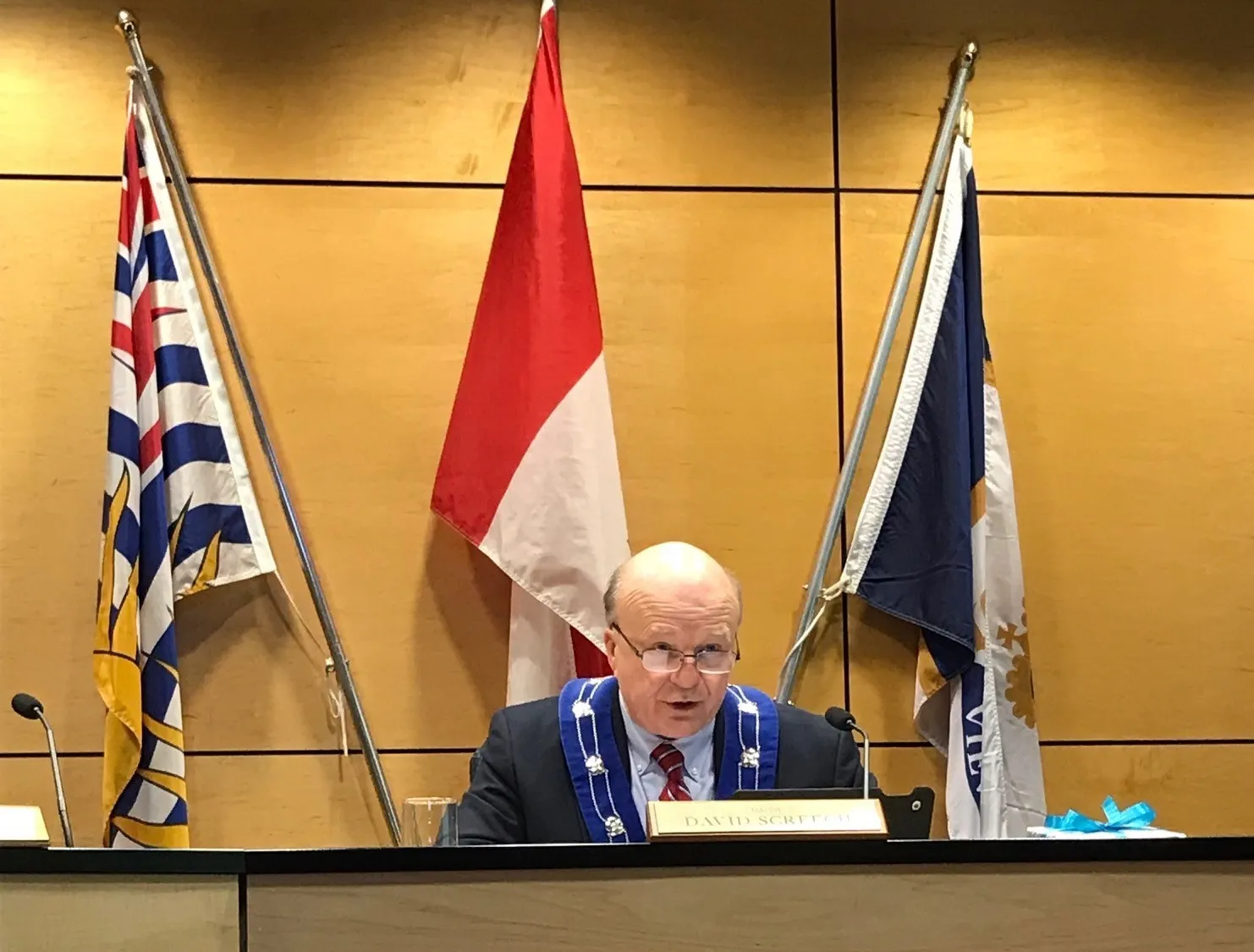 Mayor Screech speaking at a Council Meeting