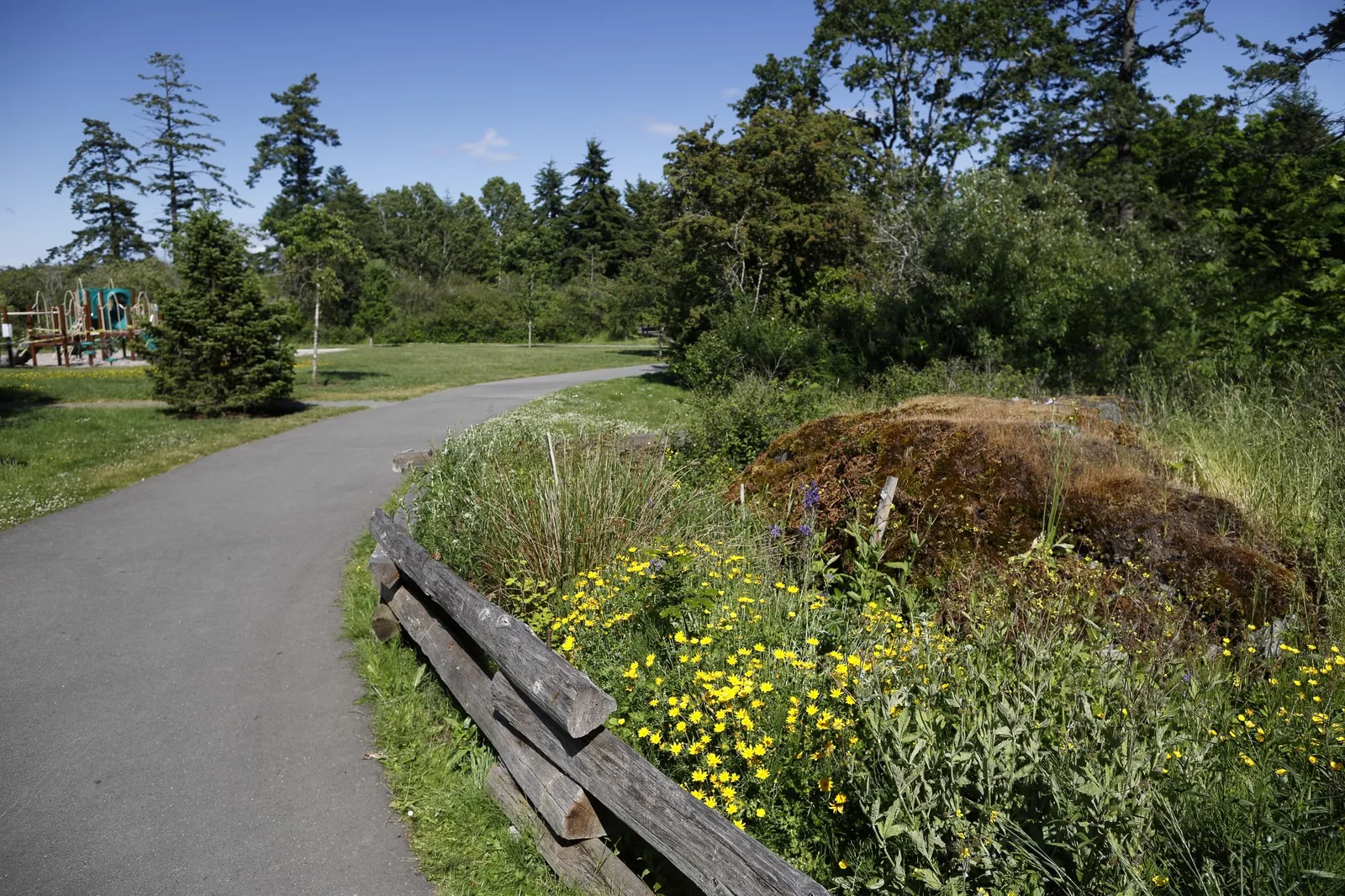 Scenic pathway in a View Royal park