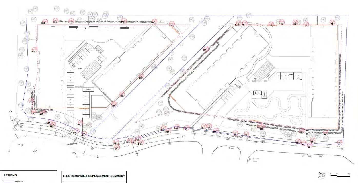 Site-wide Tree Management plan map