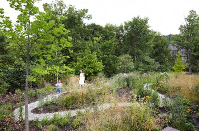 Photograph of a community nature trail and garden space