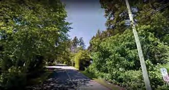 Street level view 2 showing existing forested area