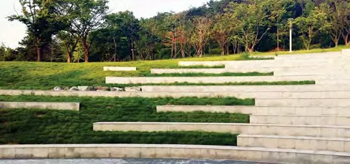 Photo of an open lawn area on a slab with concrete stepwalls for seating and planters