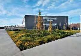 Photo of a sedum green roof display on a sloped surface
