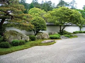 Photo of a medicinal herb and perennial garden