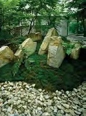Low angle photo of vegetation mounds in the discovery park