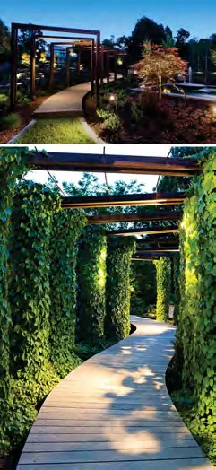 Path view through the metal arbor structure