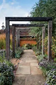 Detail photo of vines trained on metal archways