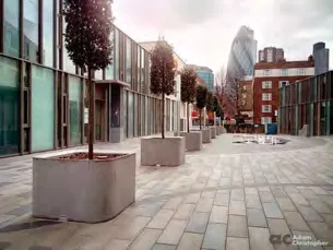 Photo of large concrete tree planters in an urban setting