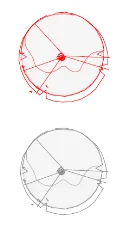 Legend for the tree management plan indicating symbols for trees to remove and potential trees to retain