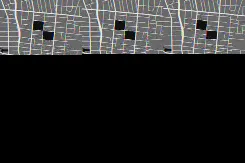 Map detail showing street grid in central Esquimalt