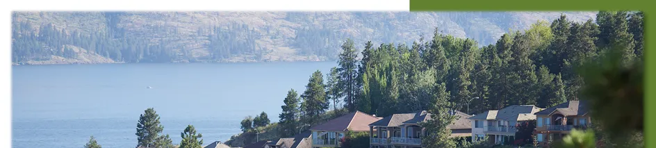 Panoramic view of residential homes on a hillside overlooking a lake and vineyards
