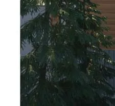 Tree detail in rendering