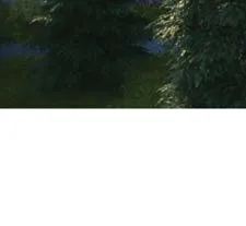 Detail of trees in perspective rendering