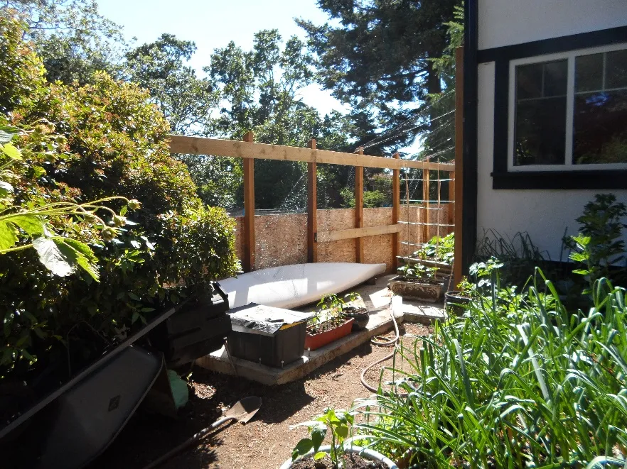 Photograph of the garden area with a yellow circle indicating the potting shed location