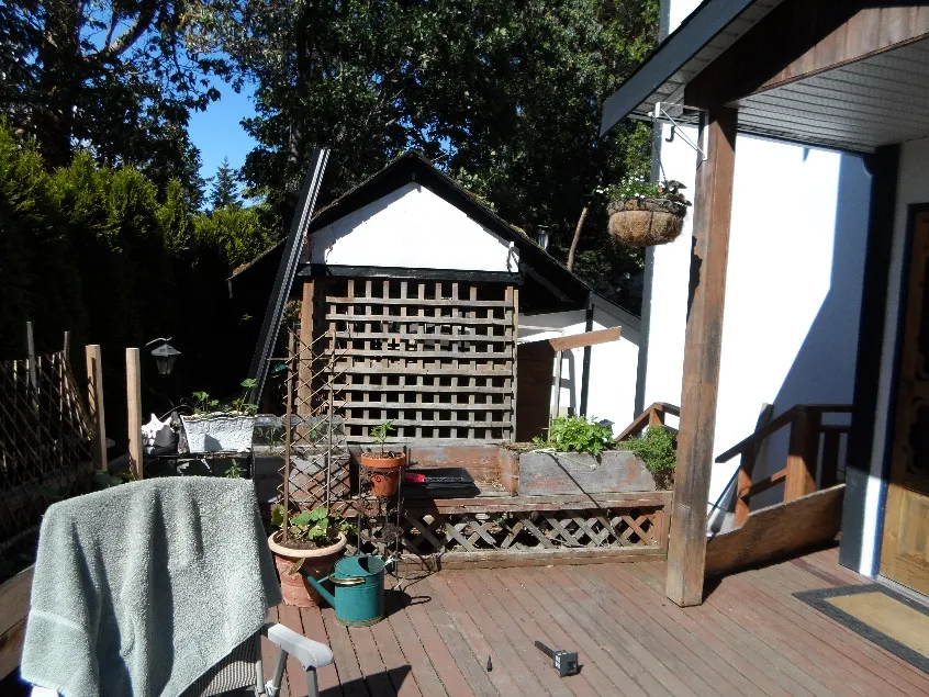 Photograph of the rear yard looking north, showing a wooden deck and lattice structure