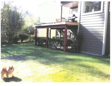 Photo of the rear of the dwelling and yard