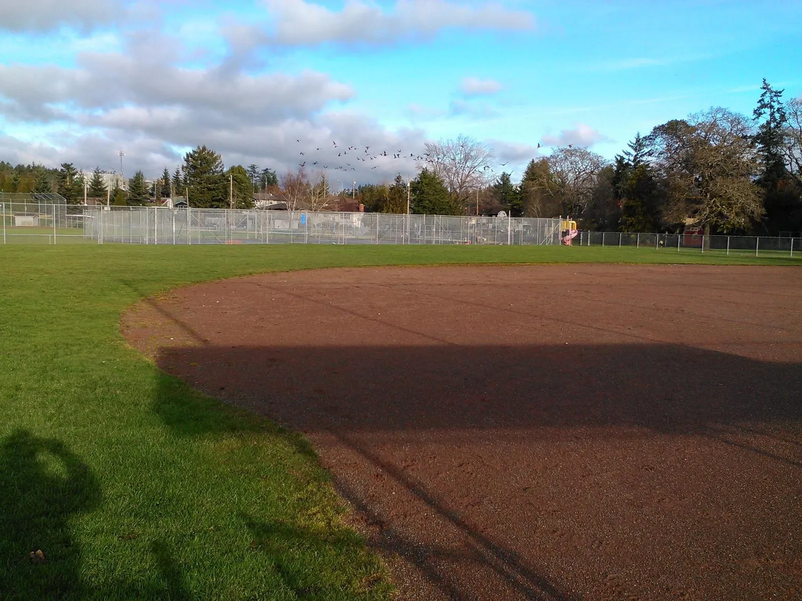 A view of the baseball diamond at Centennial Park with birds flying in the background and no geese on the field